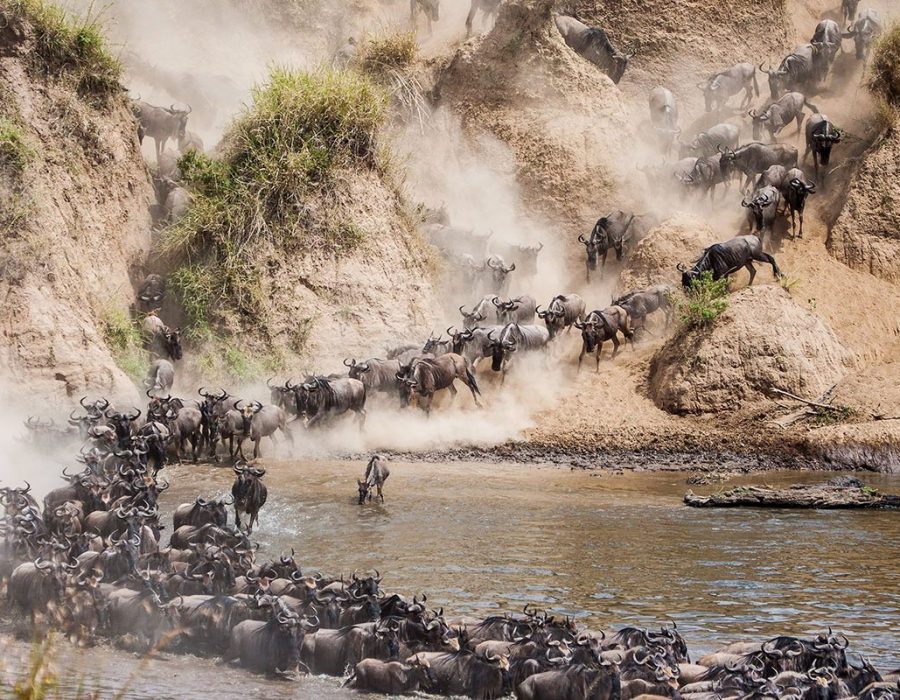 Masai Mara