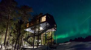 Treehotel Sweden — Photo 2