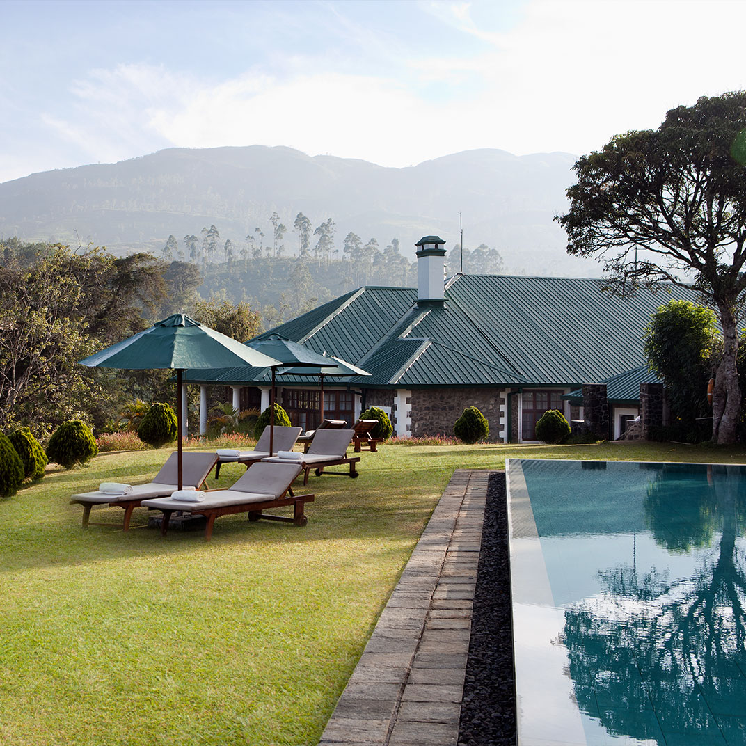Ceylon Tea Trails