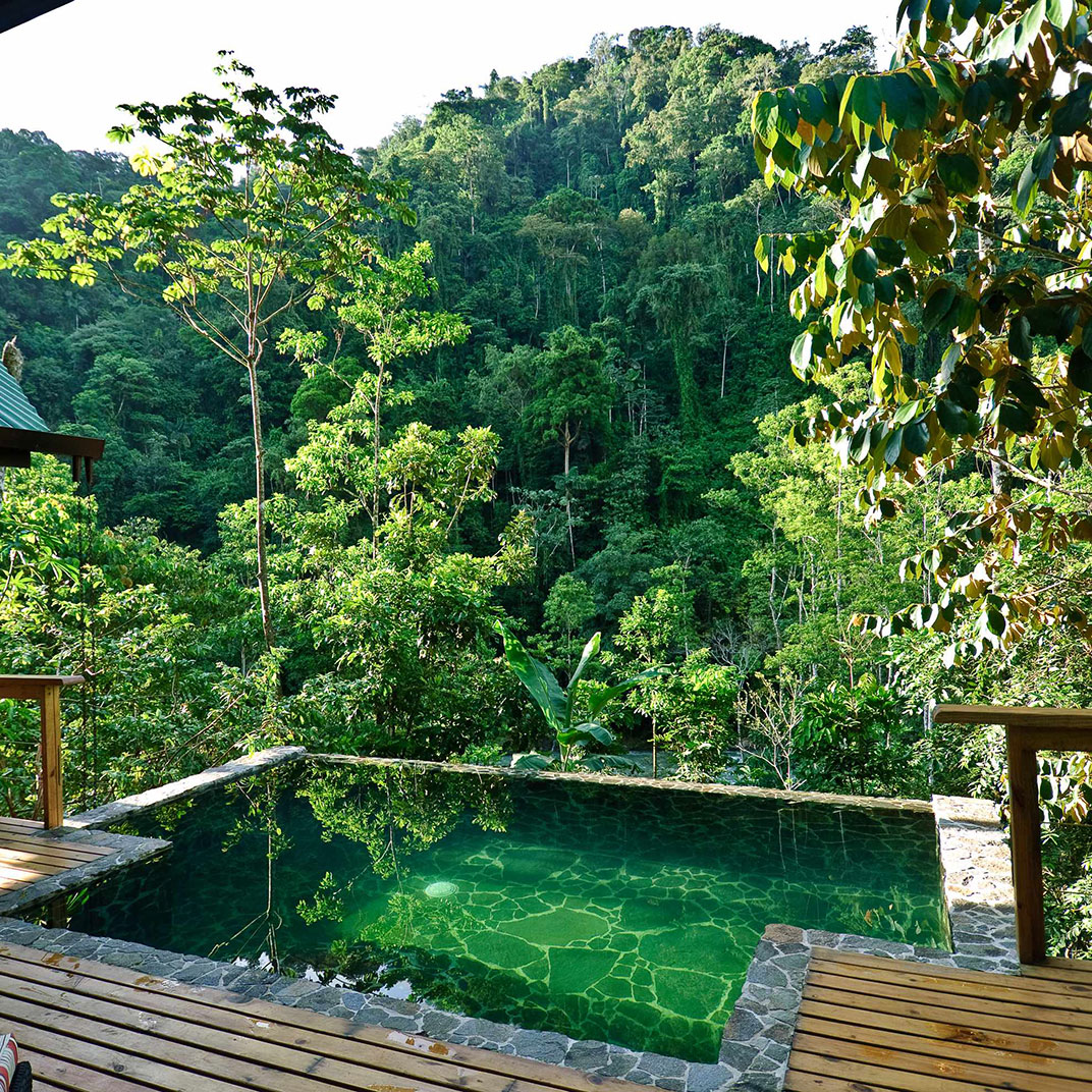 Pacuare Lodge — Photo 4