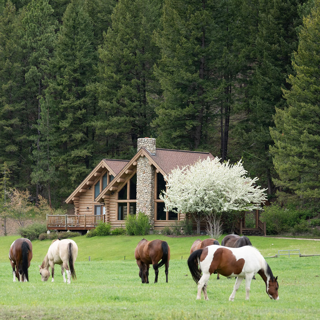 Triple Creek Ranch — Photo 4