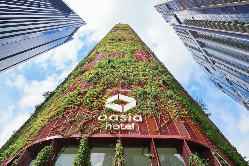 Oasia Hotel Downtown Singapore — Photo 4