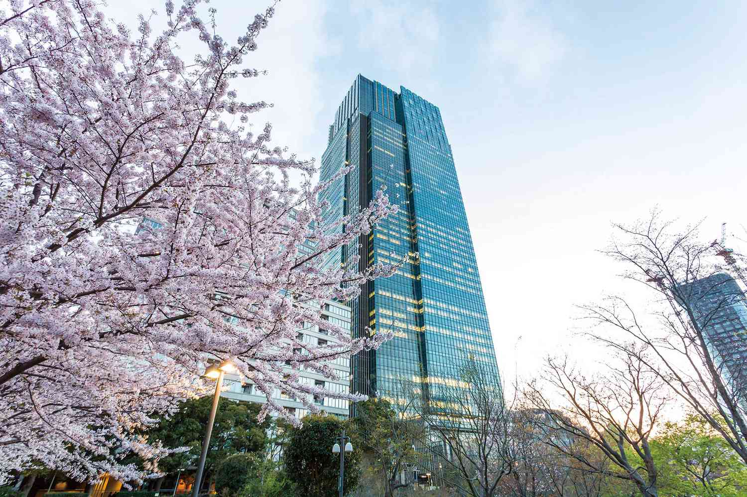 Best Business Hotels
