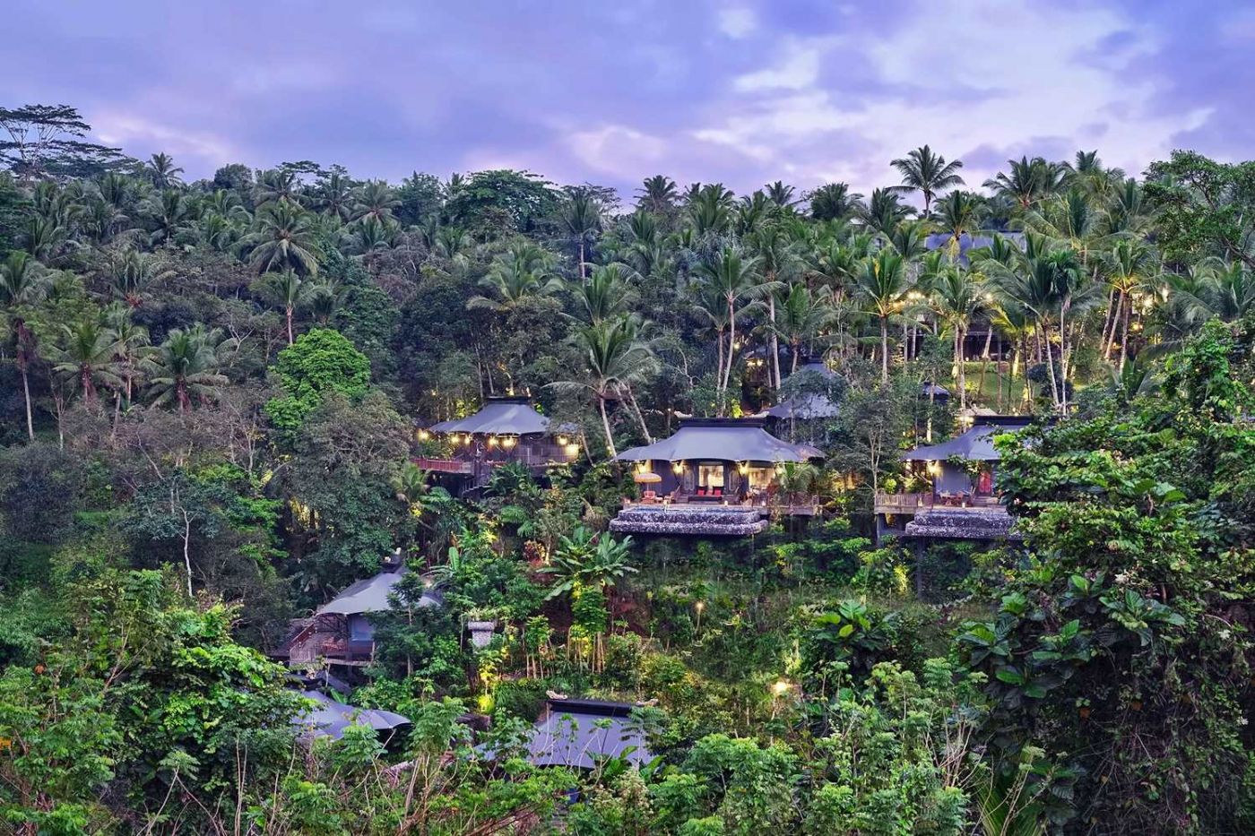 Capella Ubud — Photo 4