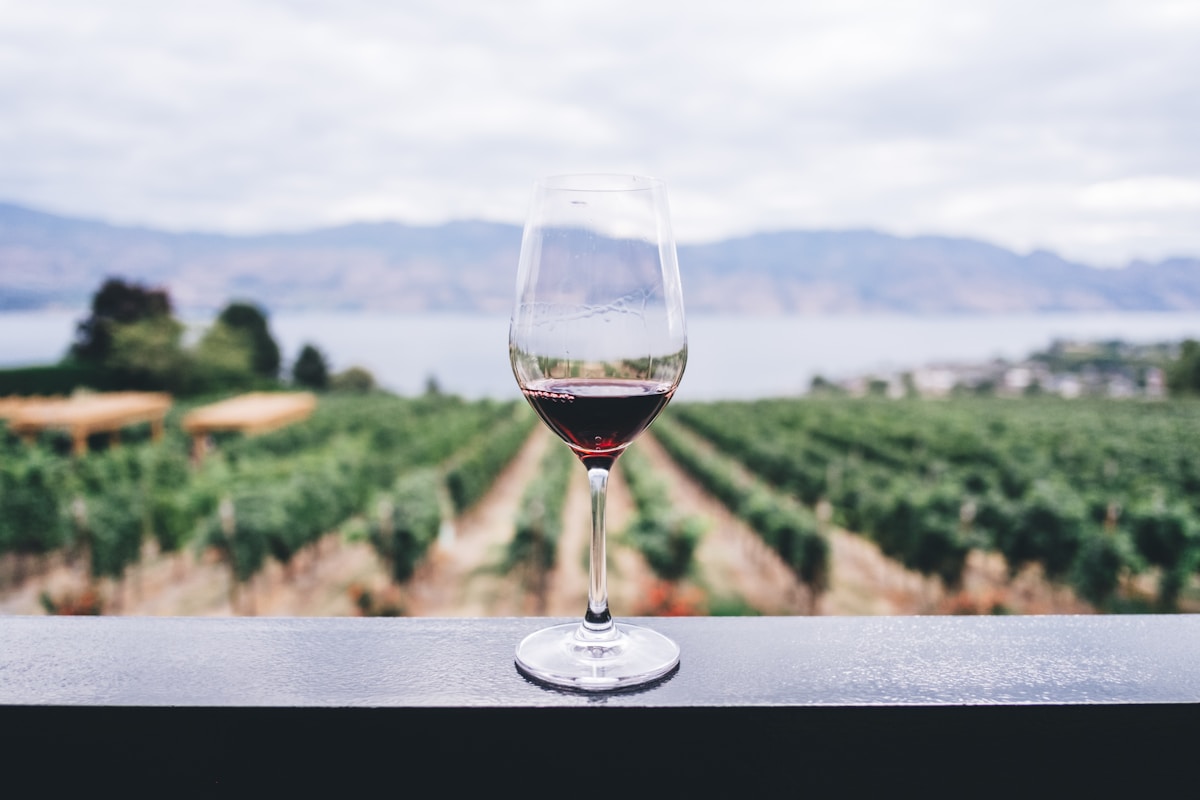 Best Vineyard Hotels